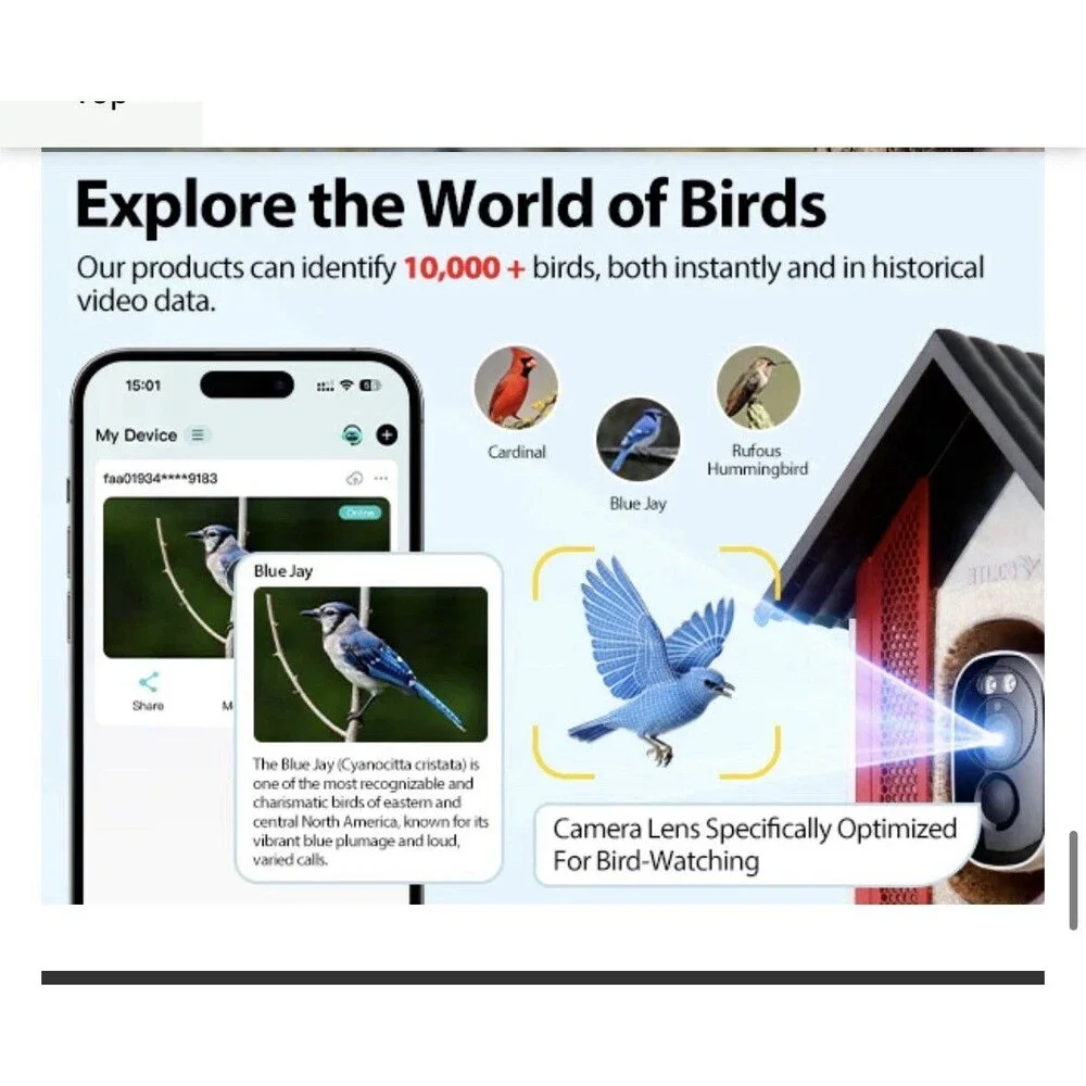 NEW BOLITE Smart AI Identify Bird Feeder w Camera 2.5K Solar Powered App Control